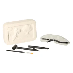 Dino Fossielen Opgraven Sale