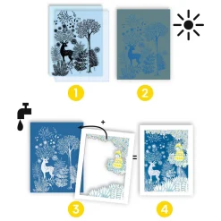 Knutselen Cyanotype Navulset - Nachtelijke Savanne-Djeco Online