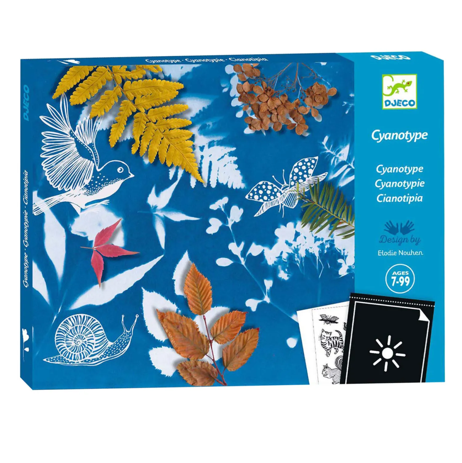 Djeco Knutselen Startpakket Cyanotype - Bladeren Discount