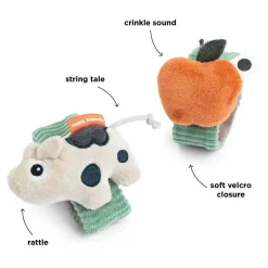 Polsratelset Dotti><noscript><img width=