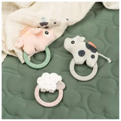 Zintuiglijke Rammelaar/Bijtring Pigee><noscript><img width=