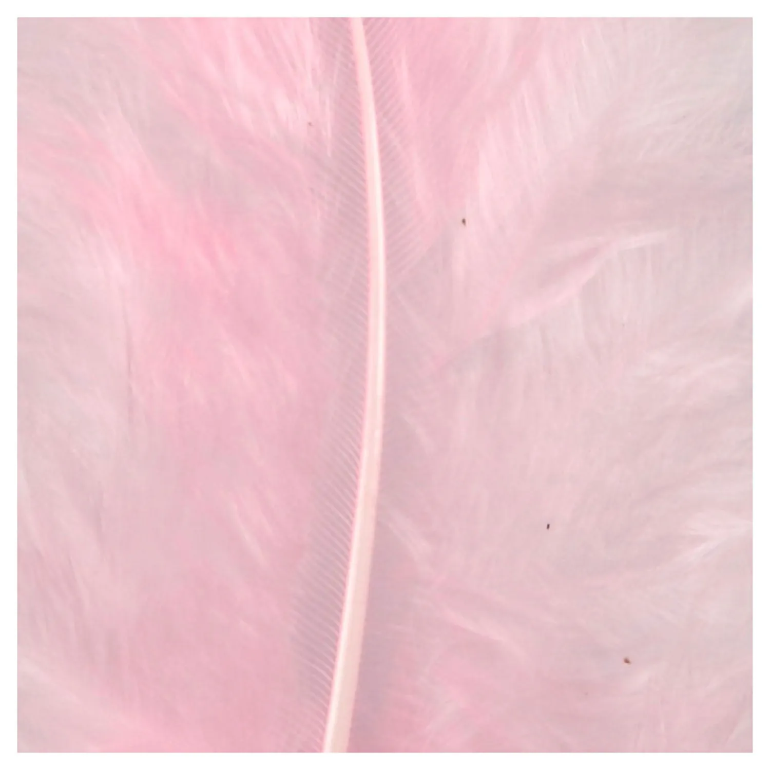 Creativ Company Dons Lichtrood 5-12 cm, 15st. Outlet