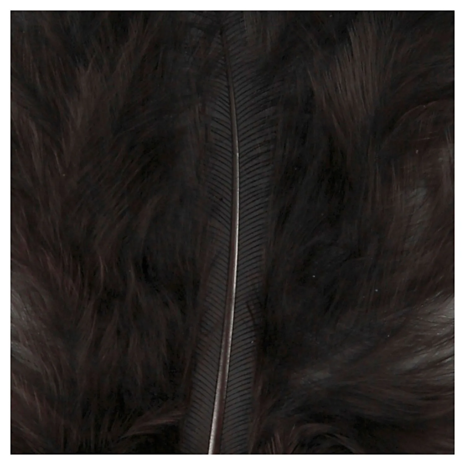 Dons Zwart 5-12 cm, 15st.-Creativ Company