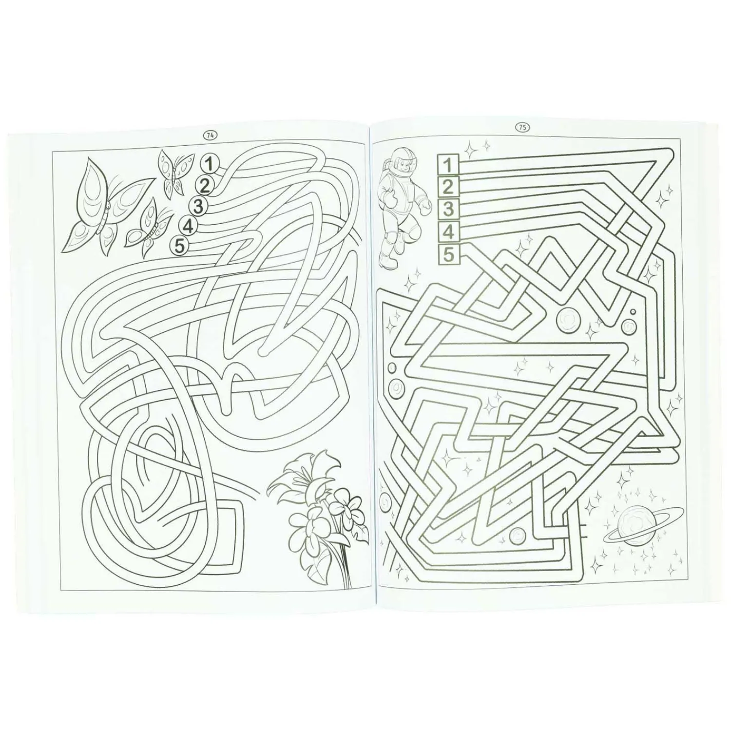 Doolhovenboek - 115 Doolhoven-Wins Holland Outlet