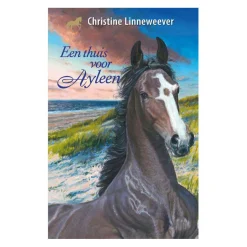 Uitgeverij Kluitman Een Thuis Voor Ayleen Discount