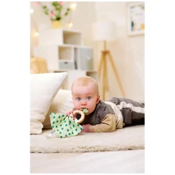 Eichhorn Baby HIPP Houten Bijtring met Knuffeldoekje Hot