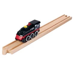 Elektrische Locomotief met Licht-Eichhorn Best