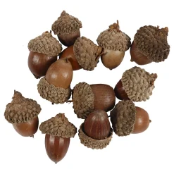 Eikels, 12st.>Creativ Company Sale