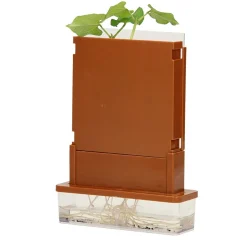 Experimenten - Planten Doolhof, 21dlg.- New