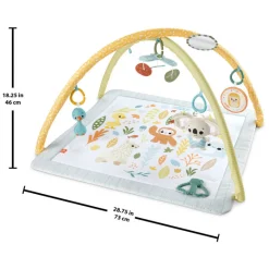 Simply Senses Babygym-Fisher Price Hot