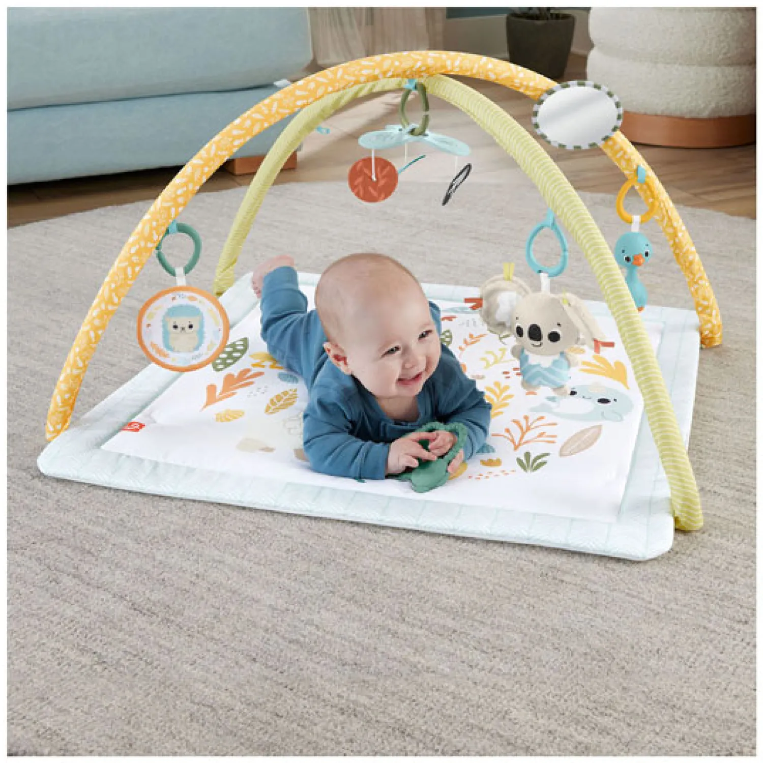 Simply Senses Babygym-Fisher Price Hot