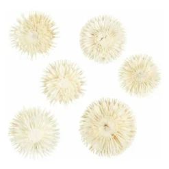 Gedroogde Bloemen-Creativ Company Online