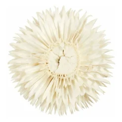 Gedroogde Bloemen-Creativ Company Online