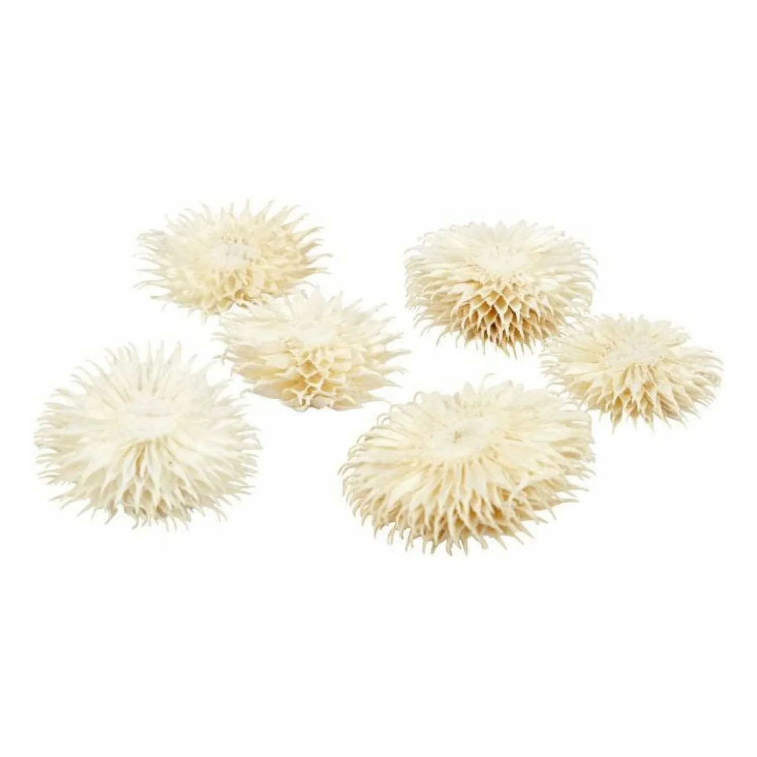 Gedroogde Bloemen-Creativ Company Online