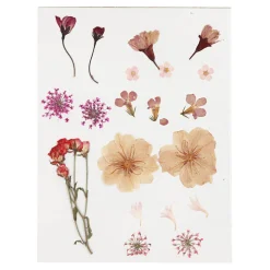 Gedroogde Bloemen en Bladeren Lichtroze-Creativ Company Outlet