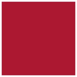 Creativ Company Gekleurd Karton Kerstrood 270gr, 100 Vellen