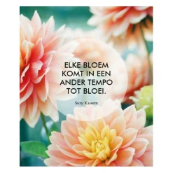 Geloof in Jezelf! - 52 Inspiratiekaarten><noscript><img width=