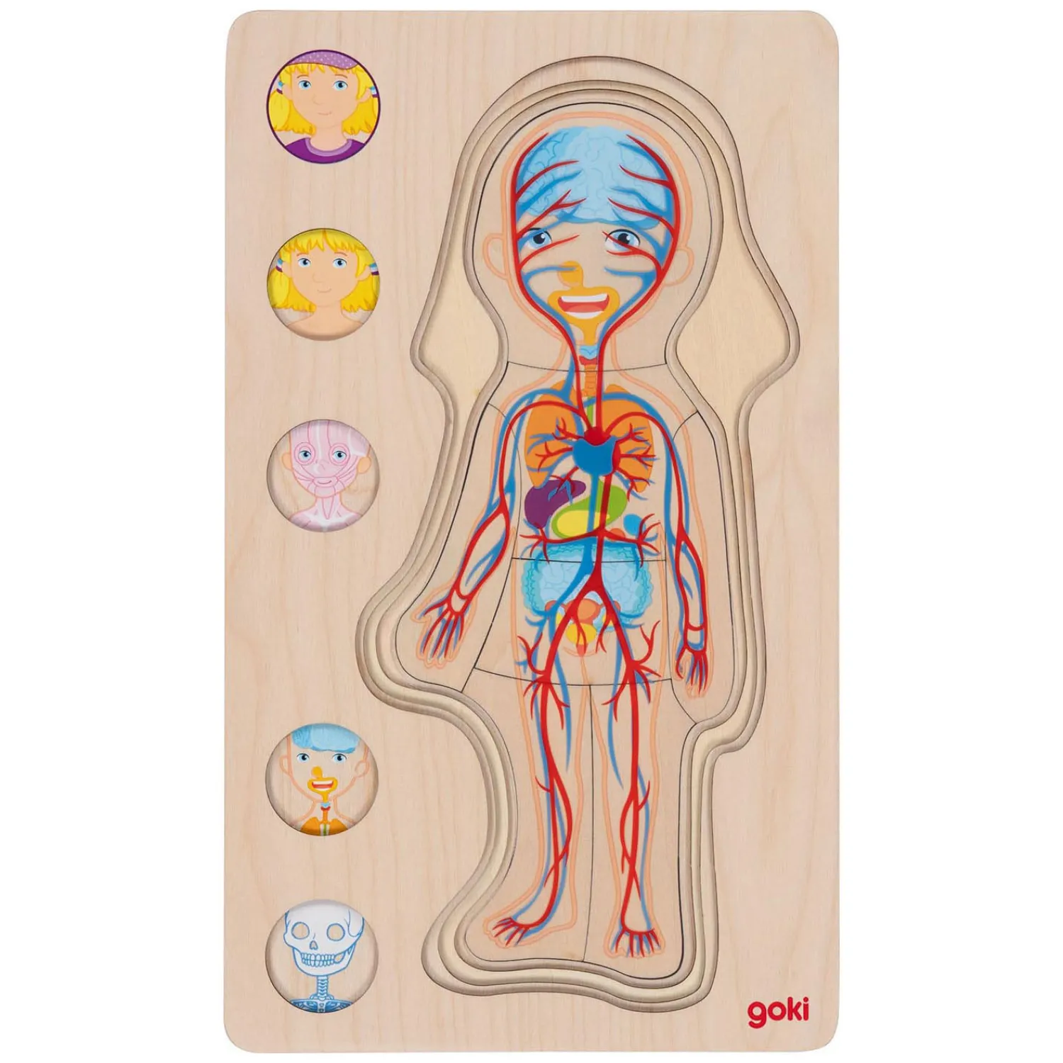 Houten Lagenpuzzel Menselijk Lichaam Meisje, 29st.>Goki Online