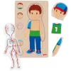 Houten Lagenpuzzel Menselijk Lichaam Jongen, 29st.-Goki Best