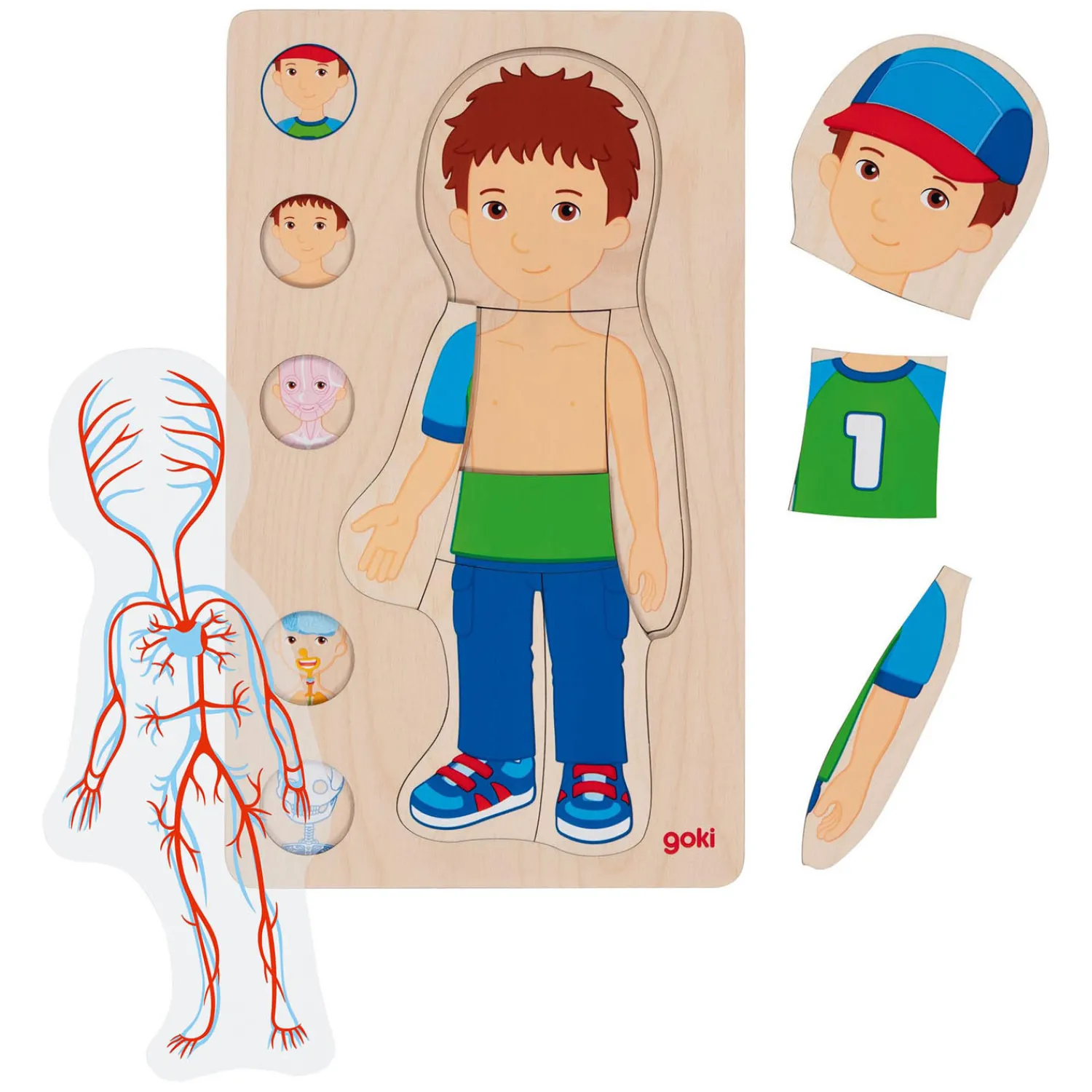 Houten Lagenpuzzel Menselijk Lichaam Jongen, 29st.-Goki Best