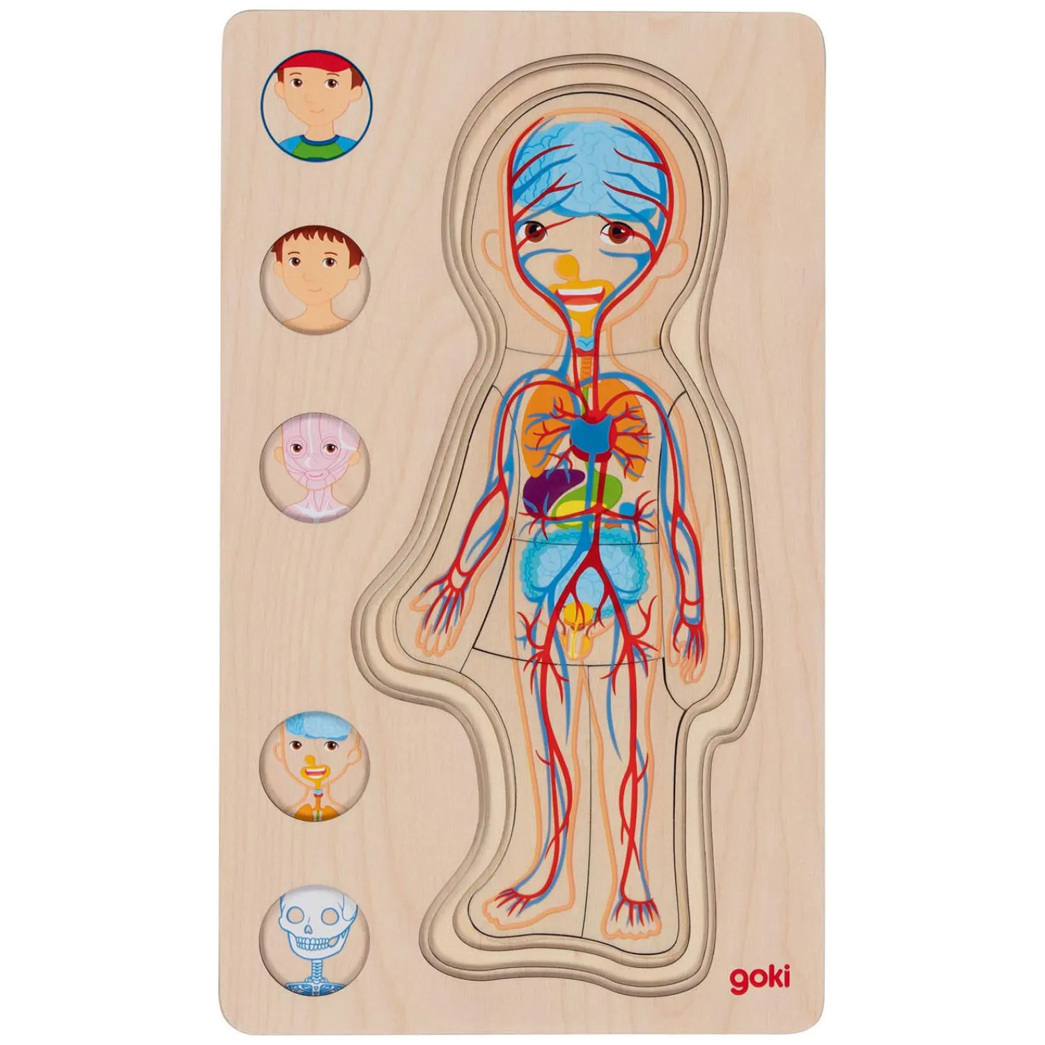 Houten Lagenpuzzel Menselijk Lichaam Jongen, 29st.-Goki Best
