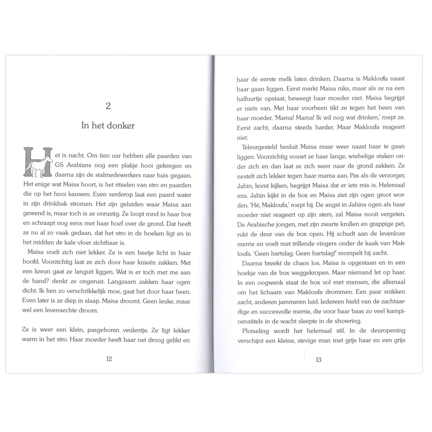 Gouden Paarden: Maisa de dappere arabier-Uitgeverij Kluitman Hot