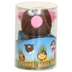 Grasvriendjes Dieren Verzorgen- Online