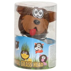 Grasvriendjes Dieren Verzorgen- Online