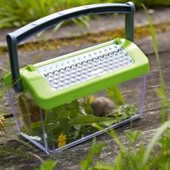 Terra Kids - Insectendoos><noscript><img width=