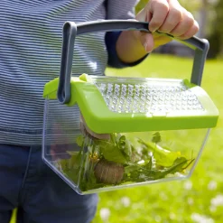 Terra Kids - Insectendoos><noscript><img width=