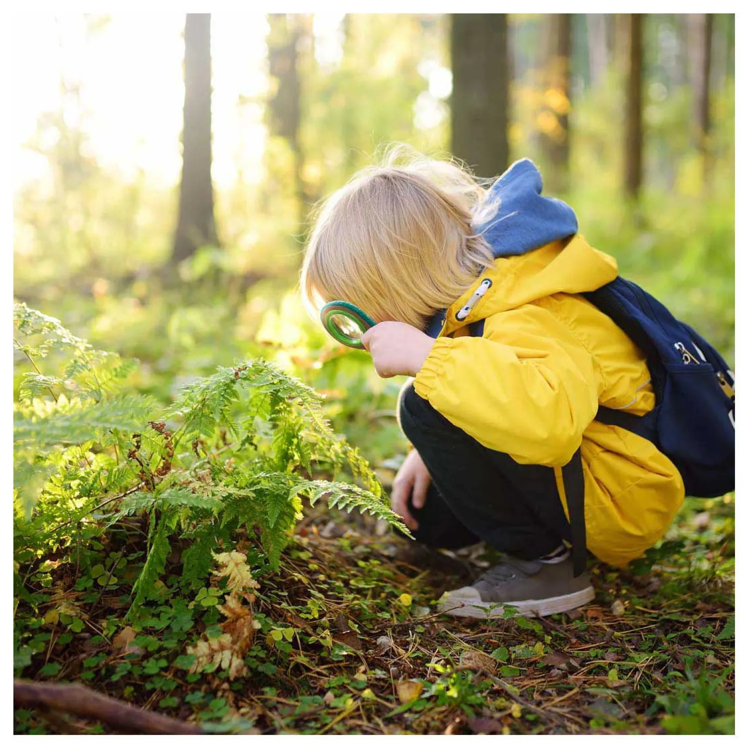 Bamboe Natuur Speurdersset>Hape New
