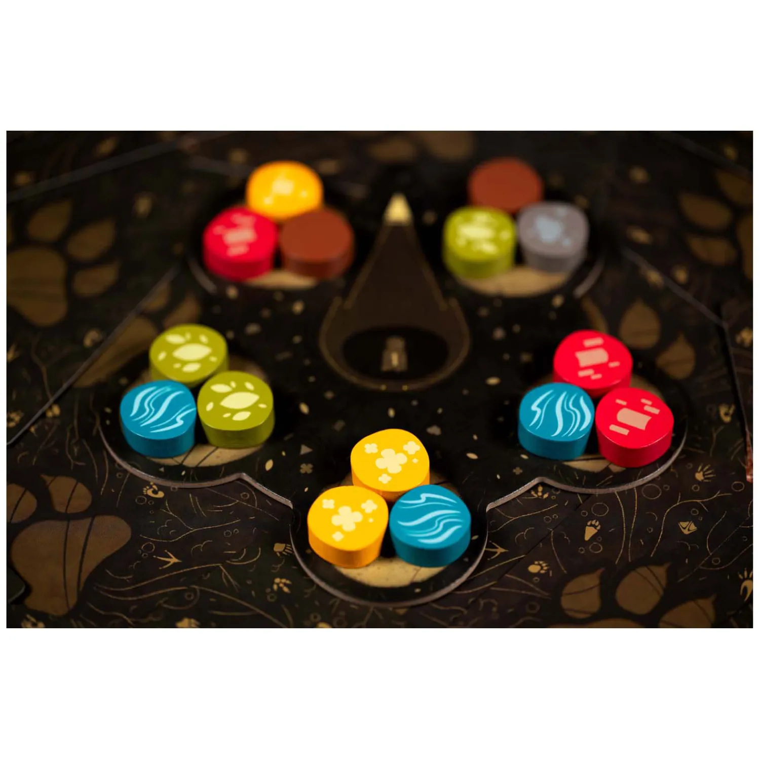 Harmonies>Asmodee Hot