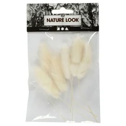 Hazenstaart Gras,  6st.-Creativ Company Online