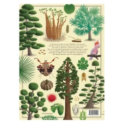 Het Grote Bomenboek-Mondikaarten Online