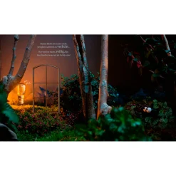 WPG uitgevers Het verhaal van Donker New