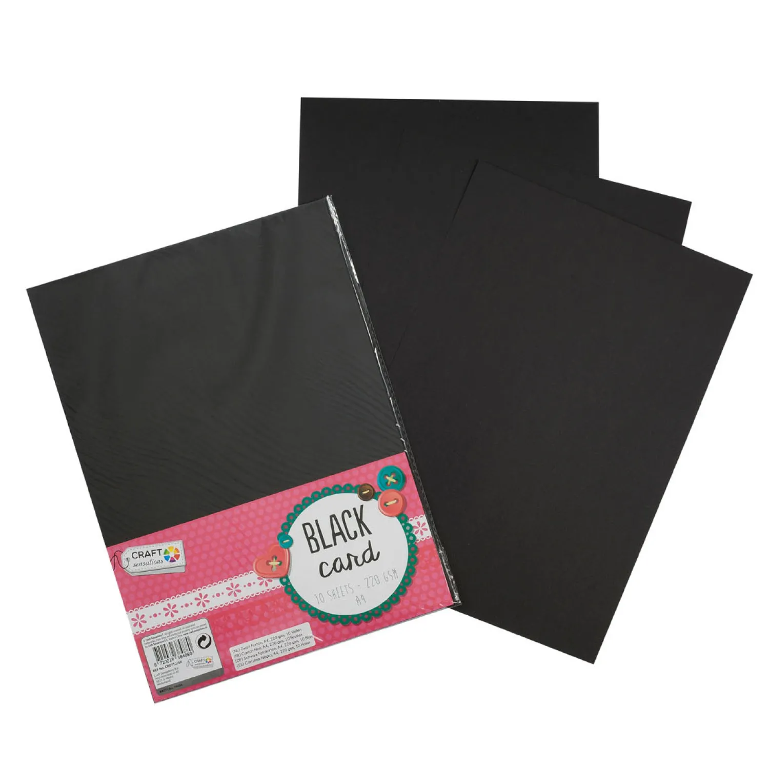 Creative Craft Group Hobbykarton Zwart A4, 10 vellen New