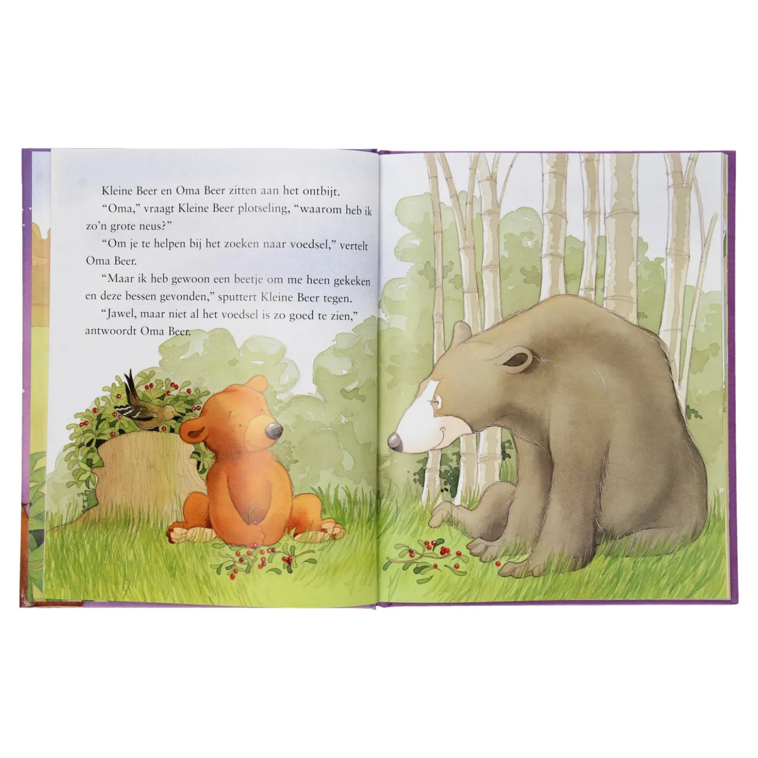 Ik vind je lief, oma Outlet