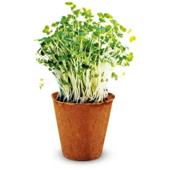 Experiment - Kruidentuin Set S-Kidscovery Clearance