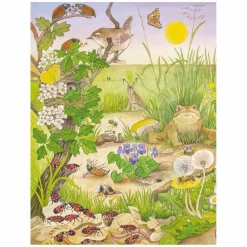 Kijk- en Zoekboek - Kriebeldiertjes-Deltas Hot