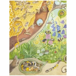 Kijk- en Zoekboek - Kriebeldiertjes-Deltas Hot