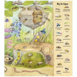 Kijk- en Zoekboek - Kriebeldiertjes-Deltas Hot