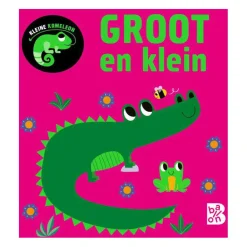 Standaard Uitgeverij Kleine Kameleon - Groot en Klein 12m+ Clearance