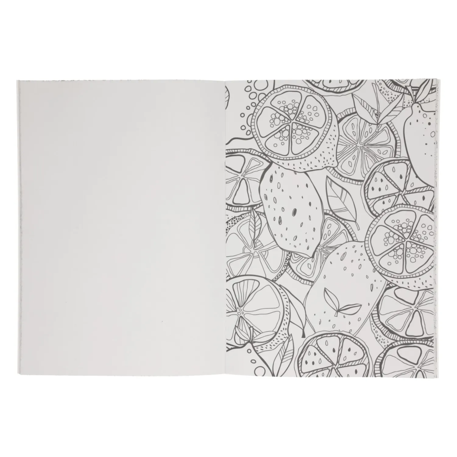 Kleurboek Doodle-Wins Holland Best