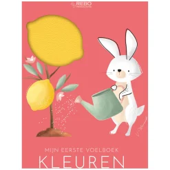 Rebo Publishers Kleuren - Eerste Voelboek New