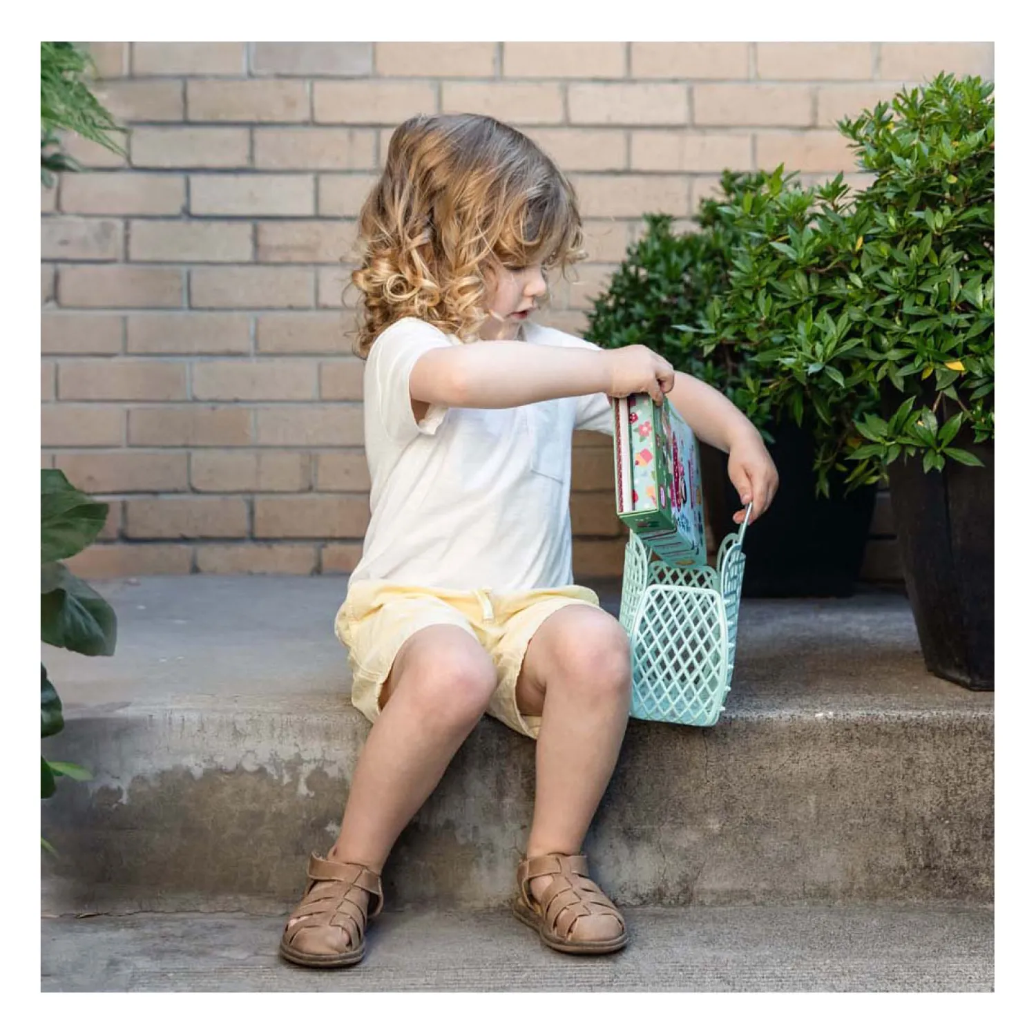 Selecta Kleurset - Bosfeeen Online