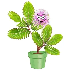 Kosmos Mimosa Garden Speelset>Selecta Online