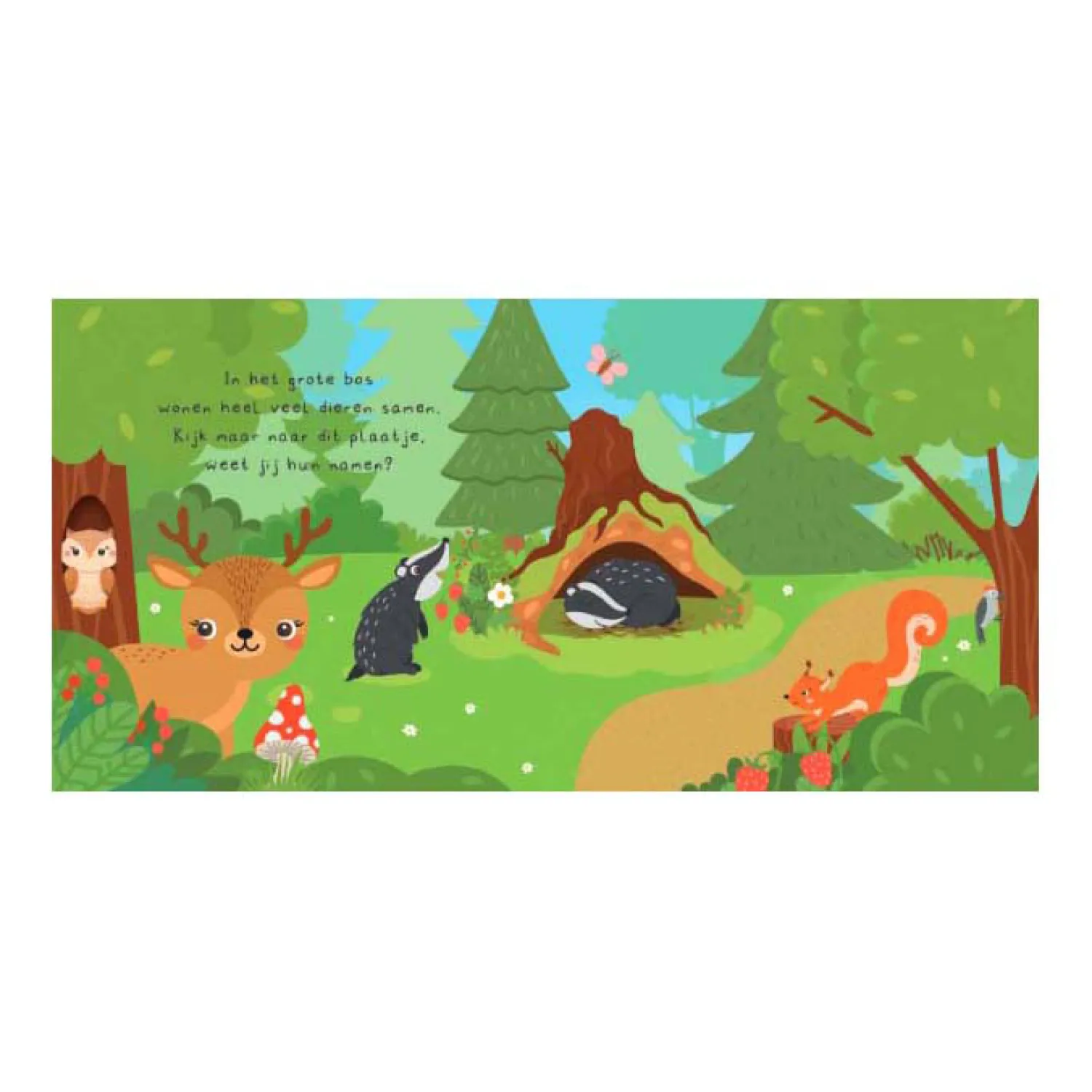 Kun Je Mij Vinden? In het Bos Voorleesboek en 20 Memokaarten>Lantaarn Publishers