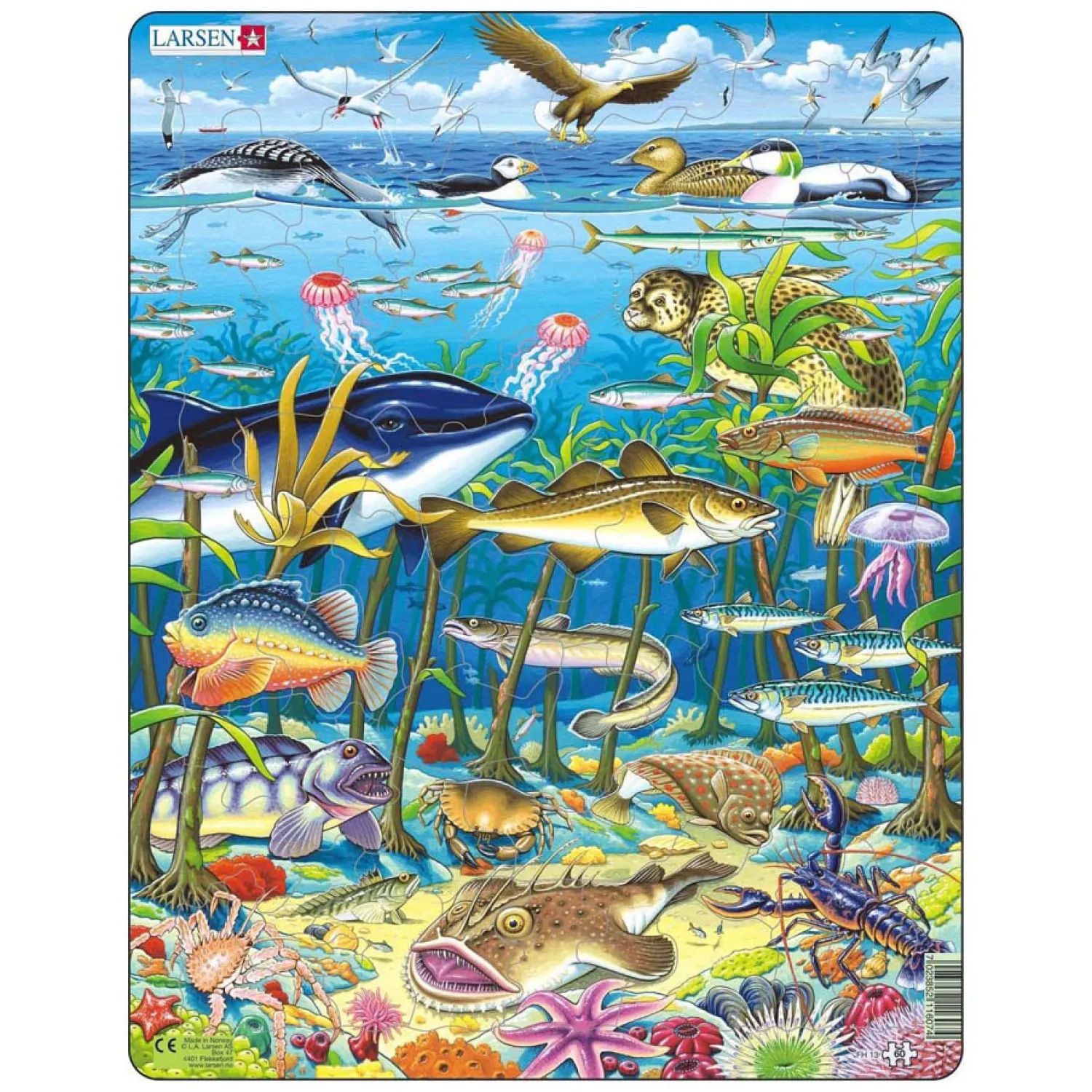 Larsen Legpuzzel Dieren - Zeedieren in de Noord-Atlantische Oceaan, 60st.-Selecta Sale