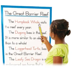 Leesstrip Aanwijzer - 12st.- Best