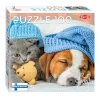 Legpuzzel Cute Kitten and Sleepy Dog, 100st.>Tactic Hot